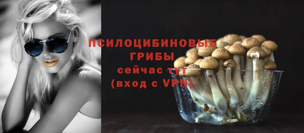 ГАЛЛЮЦИНОГЕННЫЕ ГРИБЫ Абинск