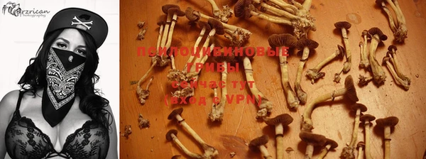 ГАЛЛЮЦИНОГЕННЫЕ ГРИБЫ Абинск