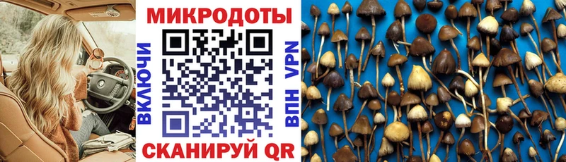 мориарти клад  Новоалтайск  Галлюциногенные грибы мухоморы 
